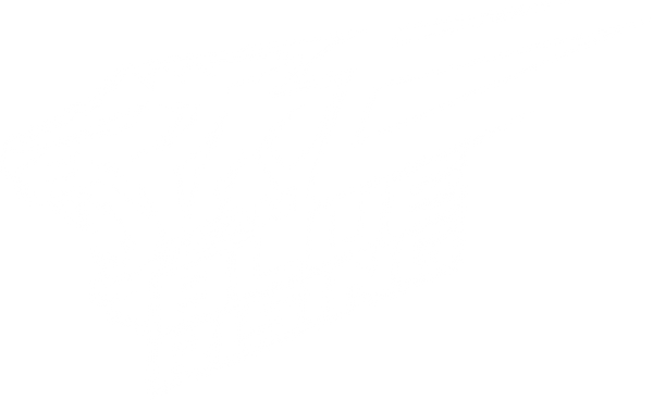 Team Blue Rising